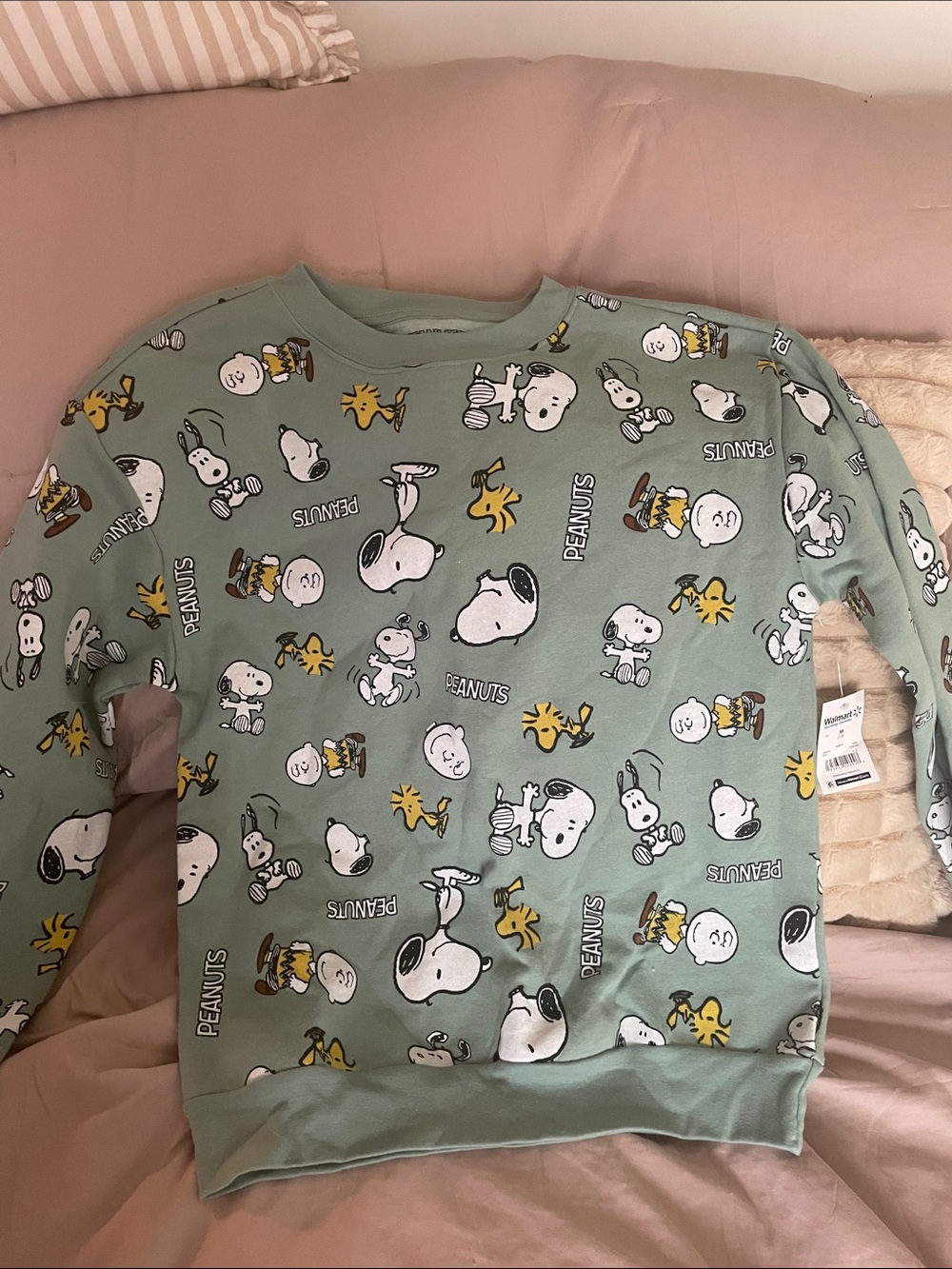 NWT-Peanuts Sage Green Snoopy & Woodstock Allover Sweatshirt